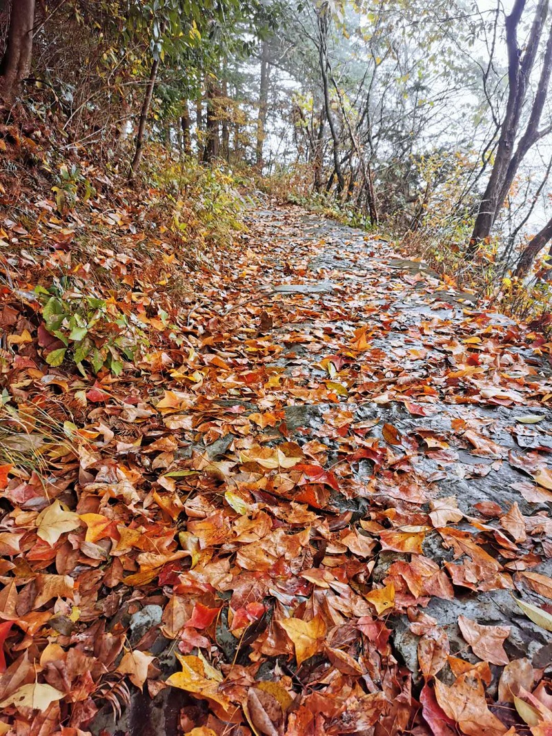 舐め犯し3波多野结衣